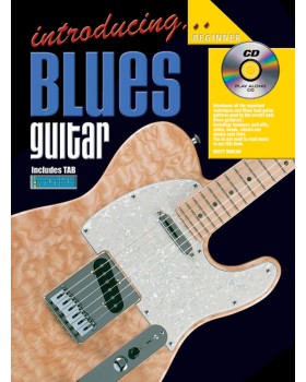 Introducing Blues Guitar - Teach Yourself How to Play Guitar