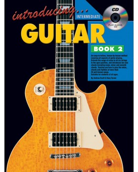Introducing Guitar - Book 2 - Teach Yourself How to Play Guitar
