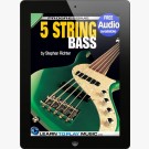 5-String Bass Guitar Lessons for Beginners