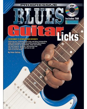 Progressive Blues Guitar Licks - Teach Yourself How to Play Guitar