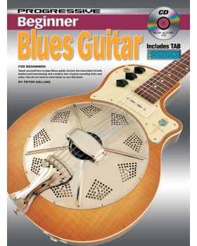 Progressive Beginner Blues Guitar - Teach Yourself How to Play Guitar
