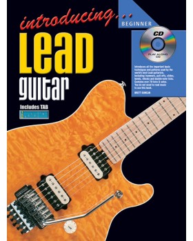 Introducing Lead Guitar - Teach Yourself How to Play Guitar