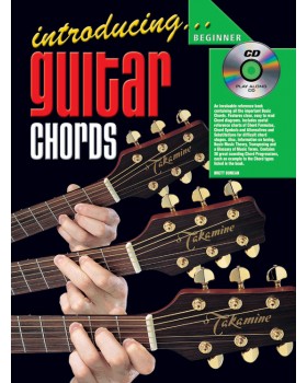 Introducing Guitar Chords - Teach Yourself How to Play Guitar