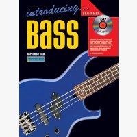 Introducing Bass